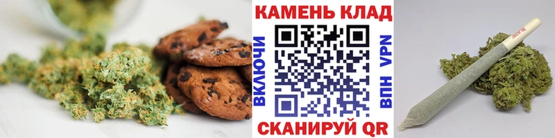 Canna-Cookies марихуана  купить наркоту  Андреаполь 