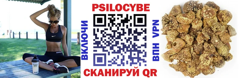 купить закладку Андреаполь Галлюциногенные грибы MAGIC MUSHROOMS